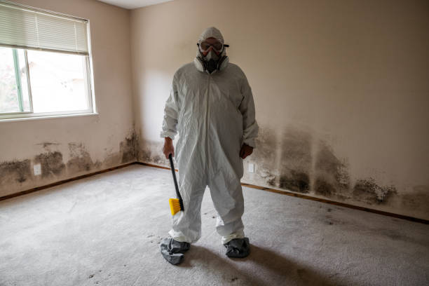 Mold Odor Removal Services in Mooresville, IN